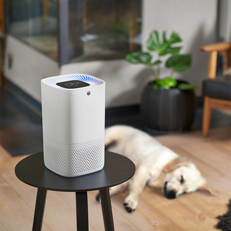Air_Purifier_Fresh_AP-100AP_Wilfa_08