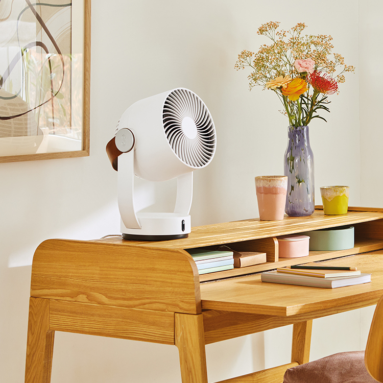 SF_Fan_Leo_white_10