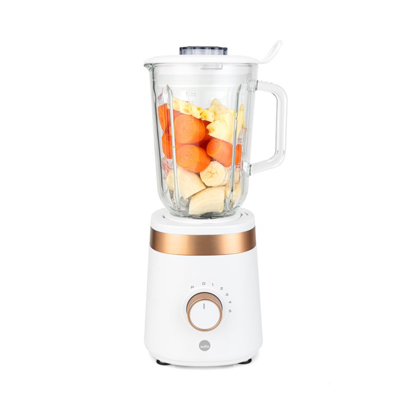 Blender_BLW-1000_Front_Fruit